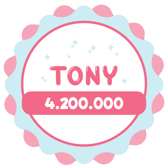 gói trang trí tony