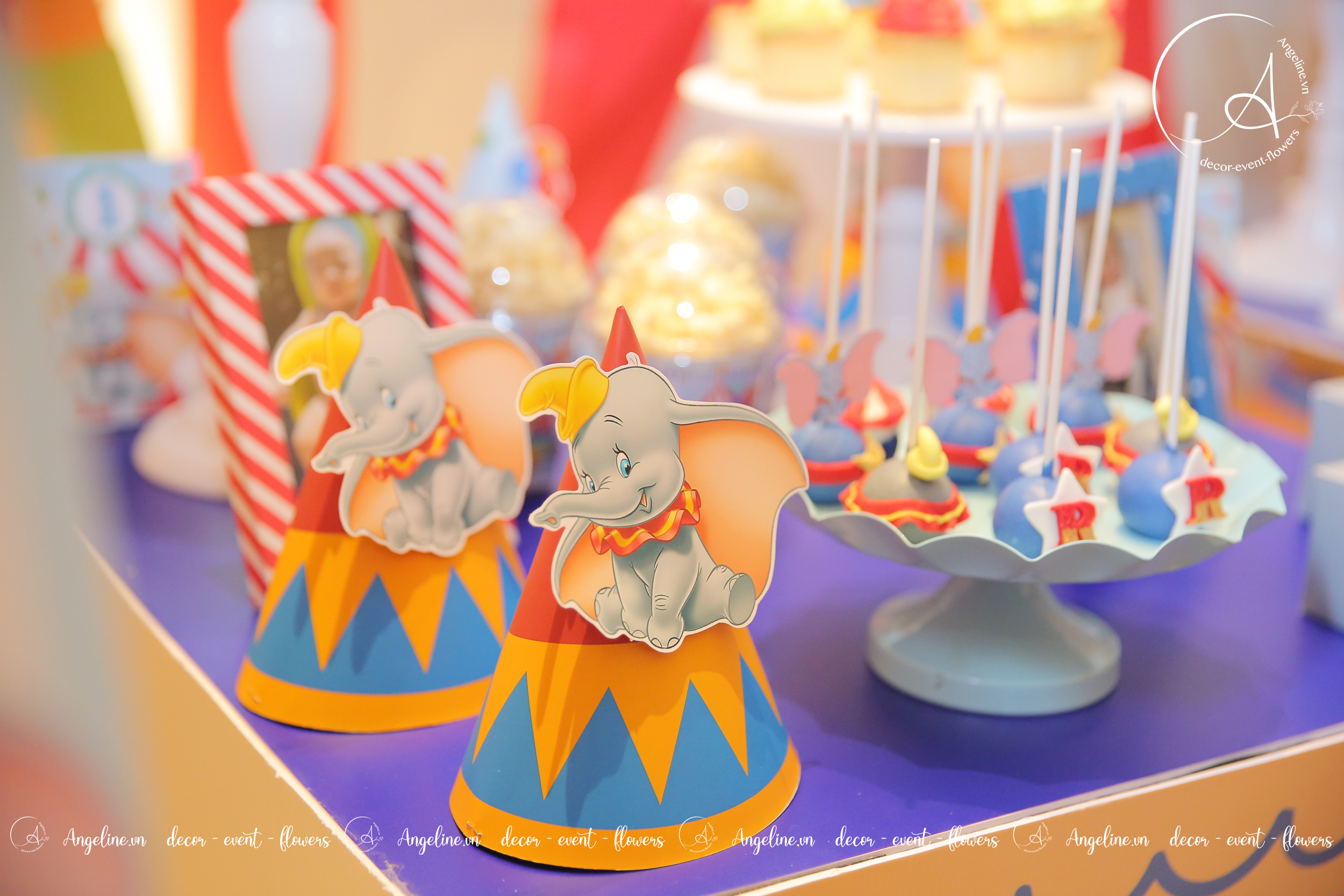 sinh nhat chu de rap