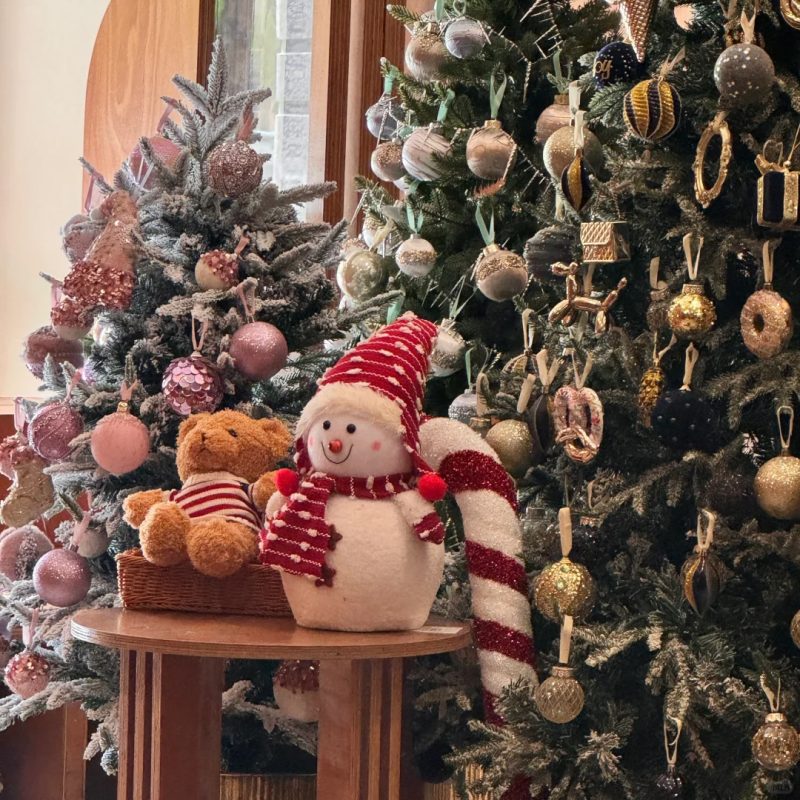 cây thông noel trong quán cà phê