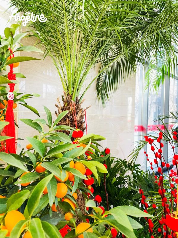 Trang trí tết cho công ty