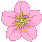 Icon ngày quốc tế phụ nữ