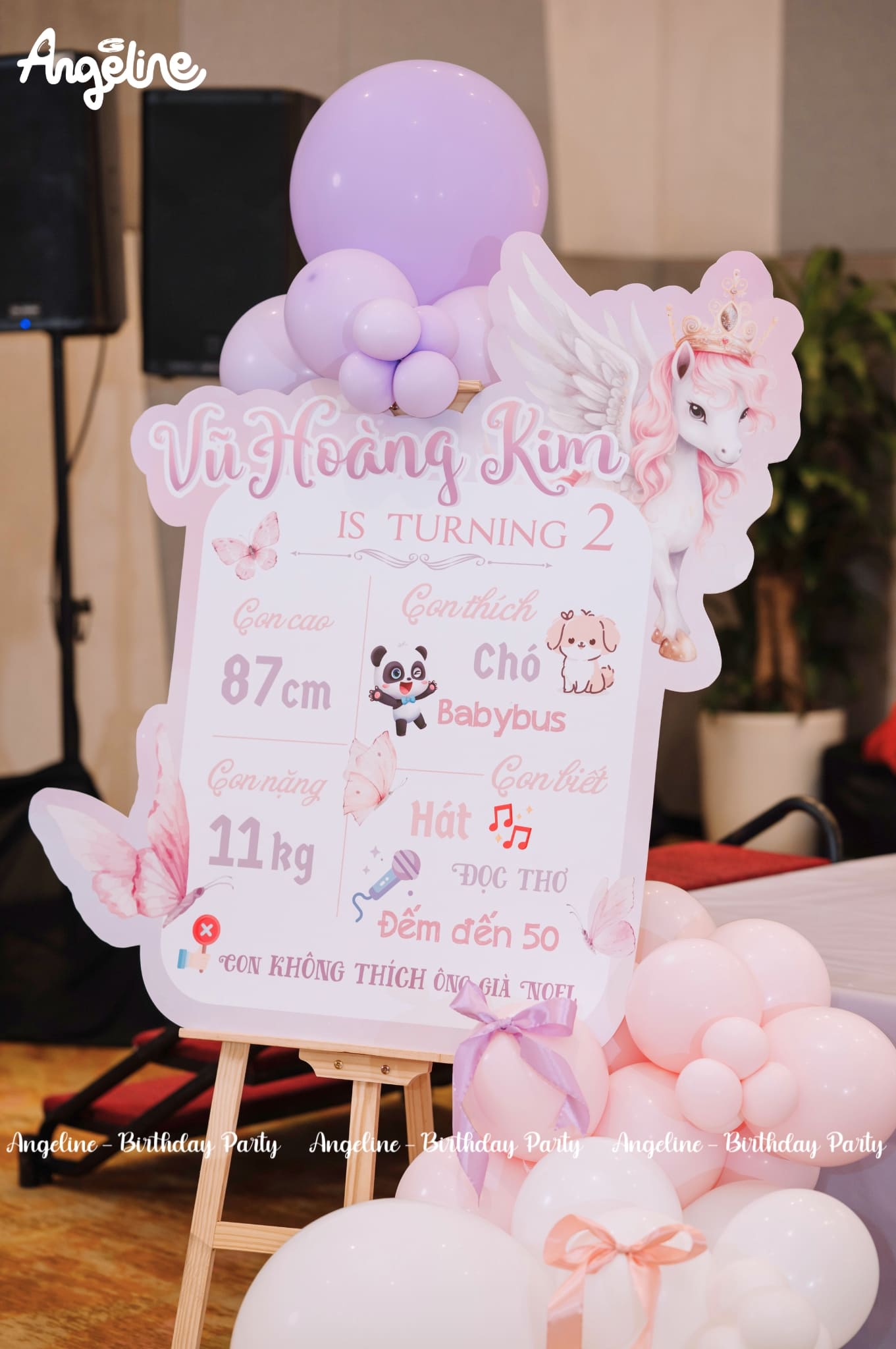 Sinh Nhật Baby Kim 2 Tuổi – Bữa Tiệc Cổ Tích Bên Nàng Công Chúa Nhỏ Bảng thông tin bé Vũ Hoàng Kim