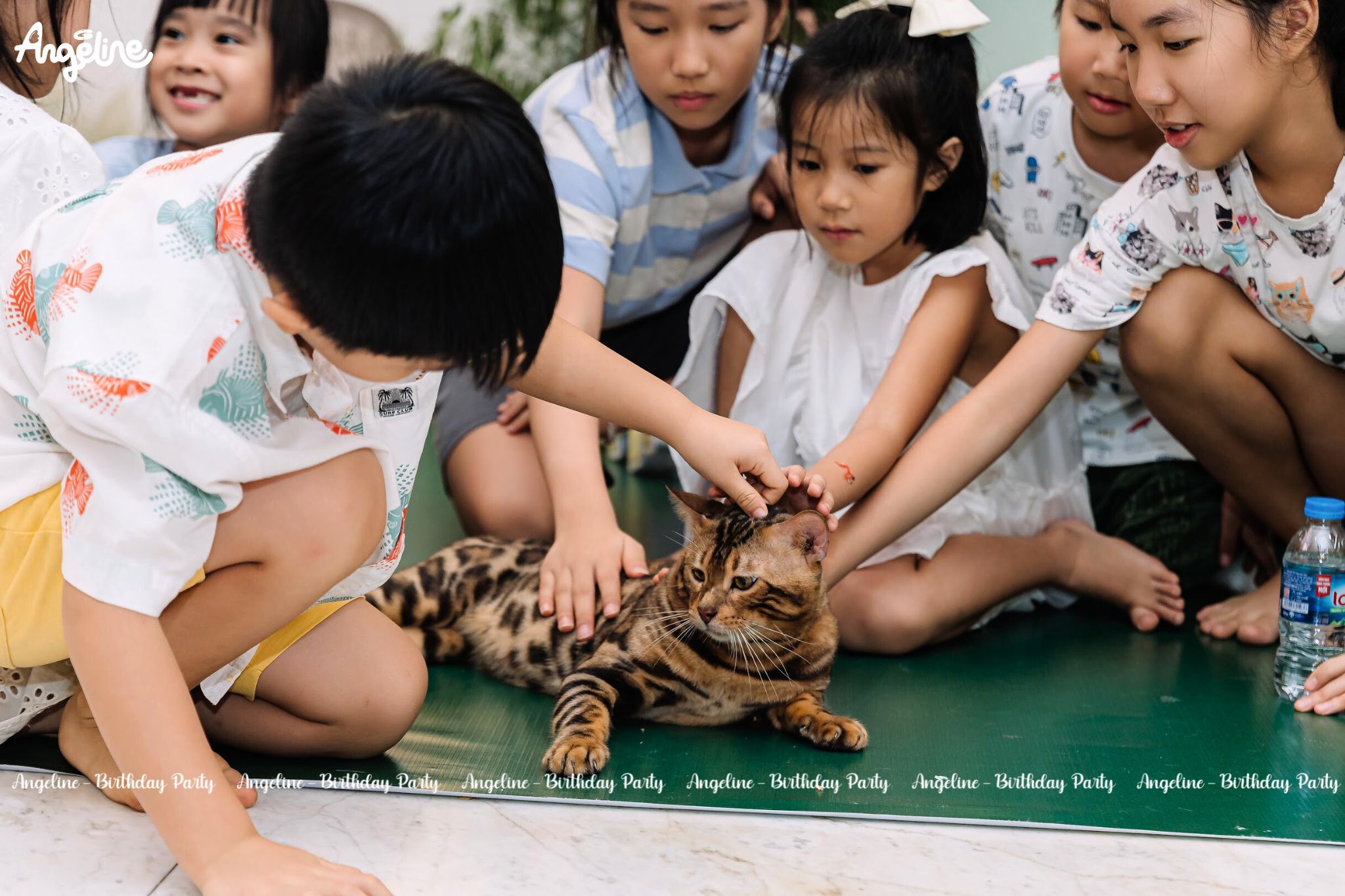 Ý nghĩa sự kiện đối với gia đình và bé Ý nghĩa sự kiện đối với gia đình và bé