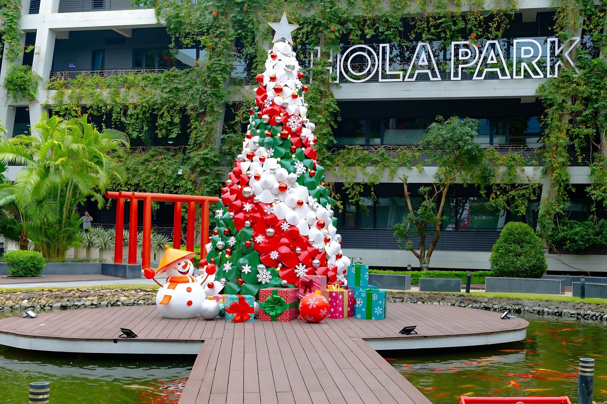 Cây thông noel nón