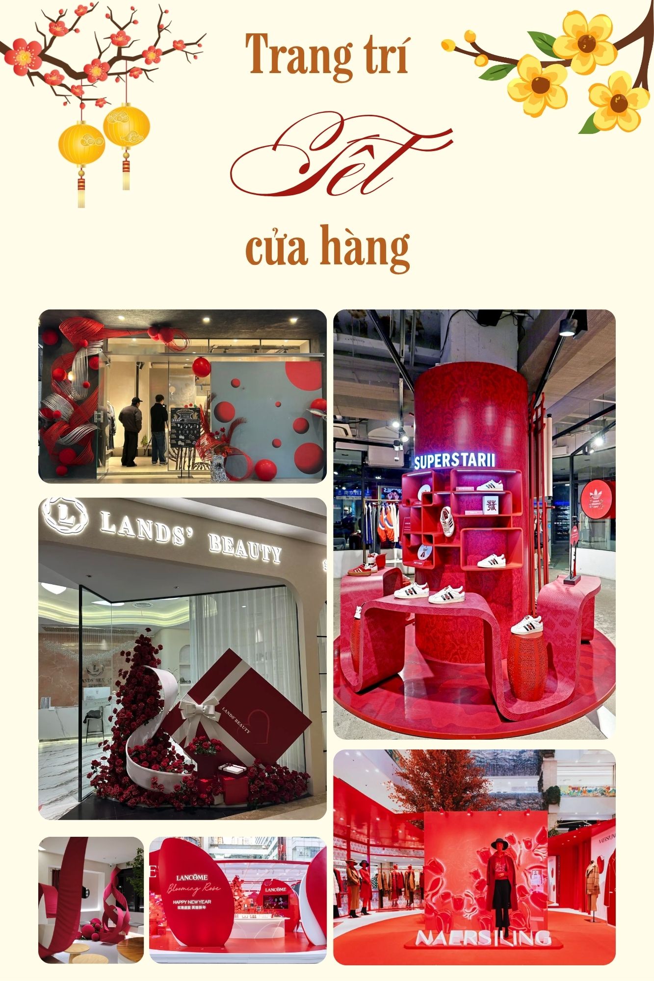 Trang trí tết cho cửa hàng